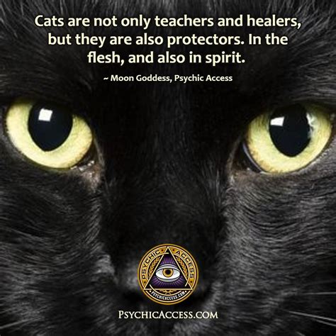 Unraveling the Mysteries of Your Magical Cat